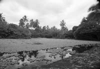 BlackLagoon-Fr13-SWC-72dpi