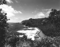 Pololo-Black-DG25-72dpi