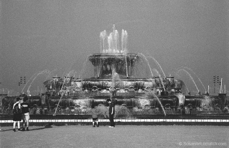 "Buckingham - Study #1"