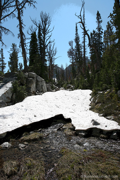 "Snowmelt - Exposure #1"