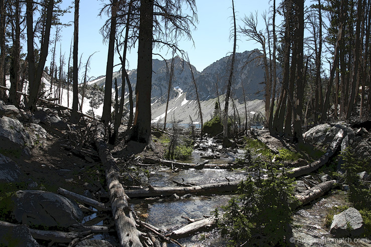 "Lake in the Trees 2 - Exposure #1"