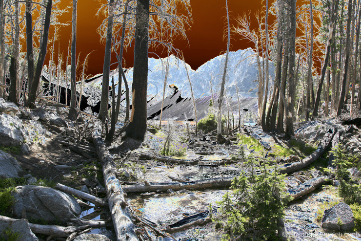 "Lake in the Trees 2 - Exposure #2"