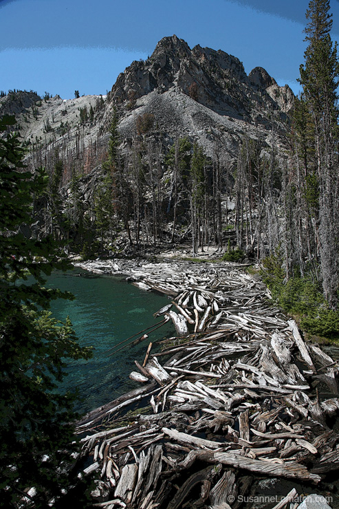 "Log Jam - Exposure #1"