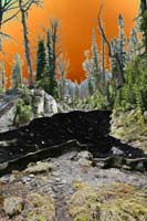 027Snowmelt-Exp2-0672