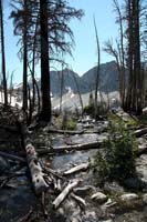 029Lake-Trees-Exp1-0703