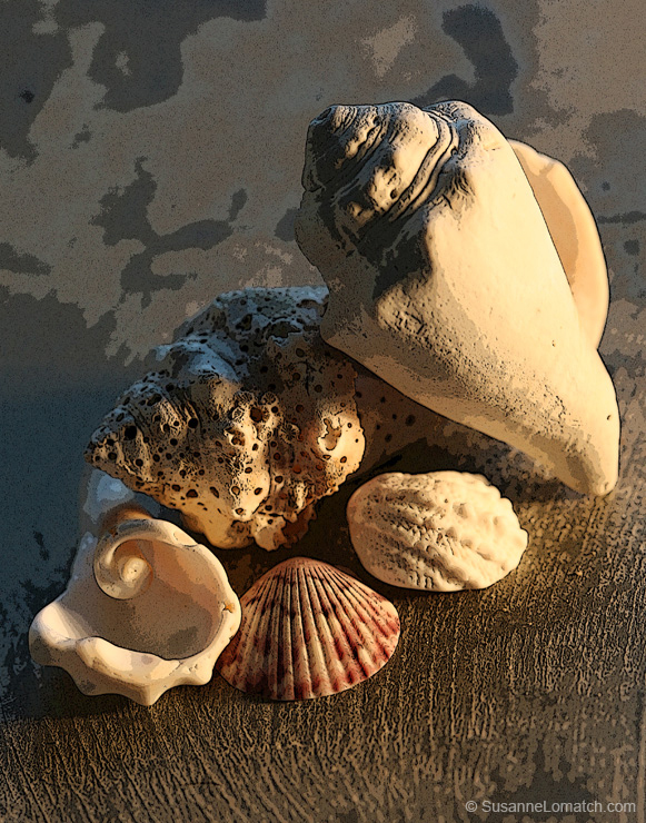 "Designs - Study #1"