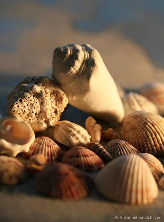 "The Neighborhood - Portrait"