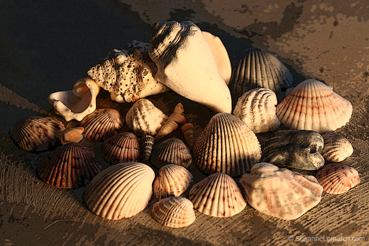 "The Neighborhood - Study #1"