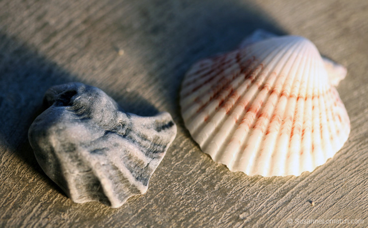 "Ugly and Beautiful"