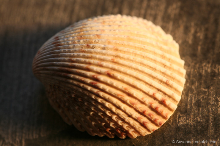 "Architecture - Study #1"