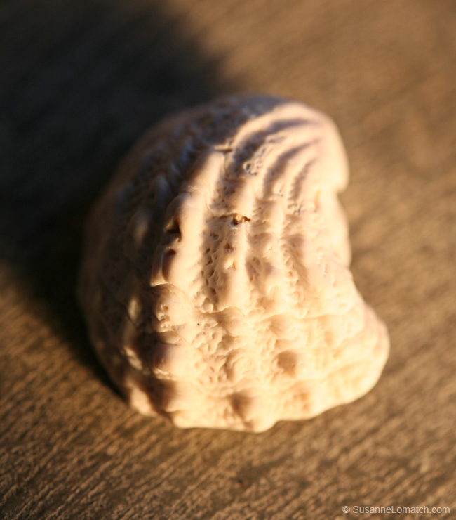 "Architecture - Study #4"