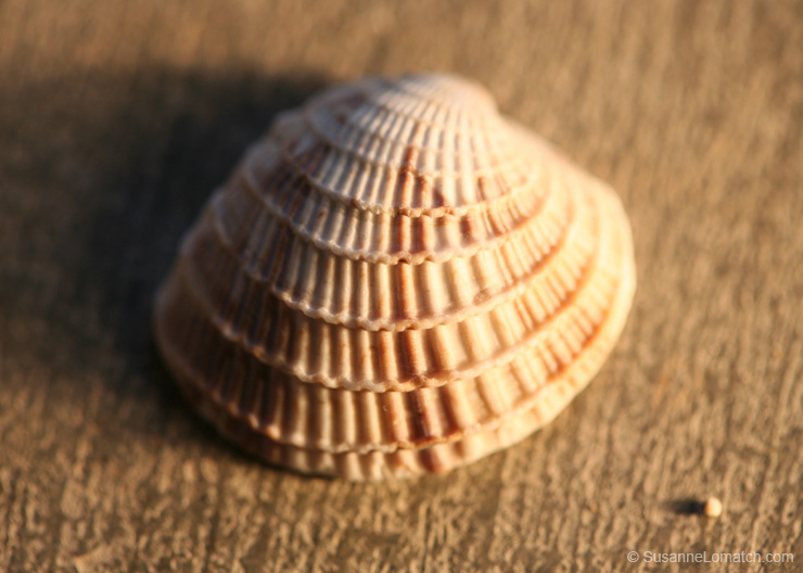 "Architecture - Study #5"