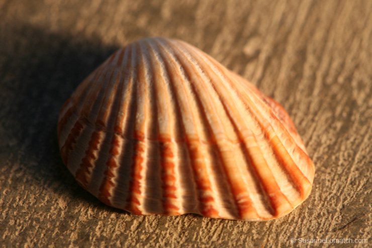 "Architecture - Study #7"