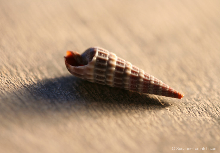 "Architecture - Study #9"