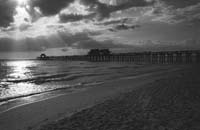2Naples-Pier-Fr12-Study2