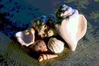 91Contours-Study1-0910