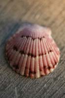 Architecture-Study3-0931