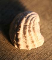 Architecture-Study4-0931