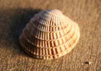 Architecture-Study5-0931