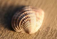 Architecture-Study6-0931