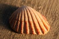 Architecture-Study7-0931