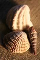 Architecture-Study8-0931