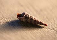 Architecture-Study9-0931