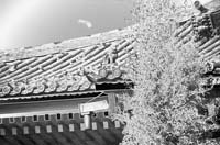 Temple-Relief-Solar-Fr6-PS1