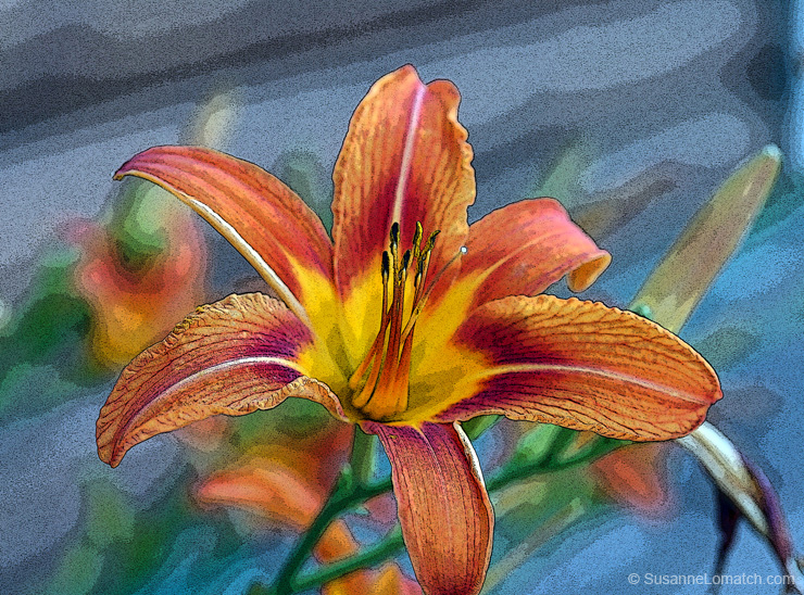 "Tiger Lily"
