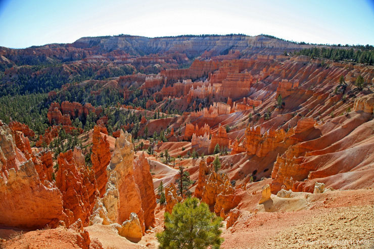 "Ampitheatre Ablaze"