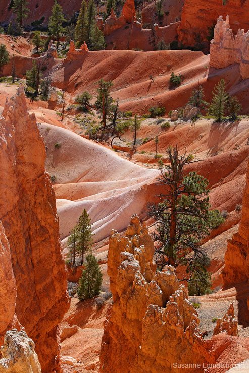 "Ampitheatre Detail #3"