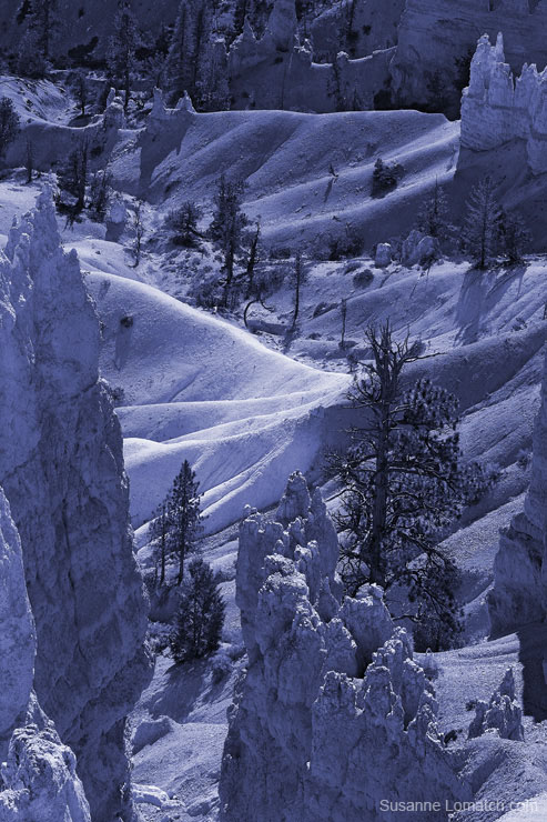 "Ampitheatre Detail #3"