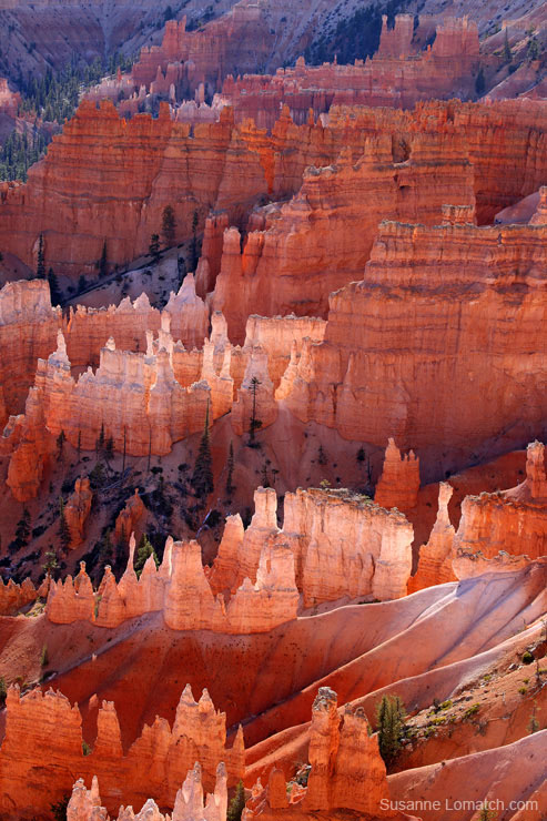 "Ampitheatre Detail #4"