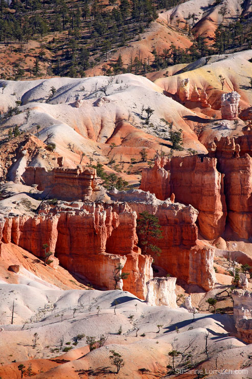 "Ampitheatre Detail #5"