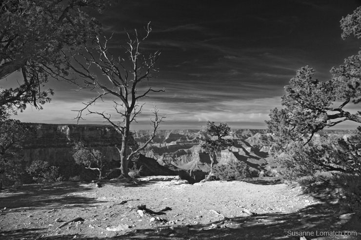 "Naked Vista Landscape"