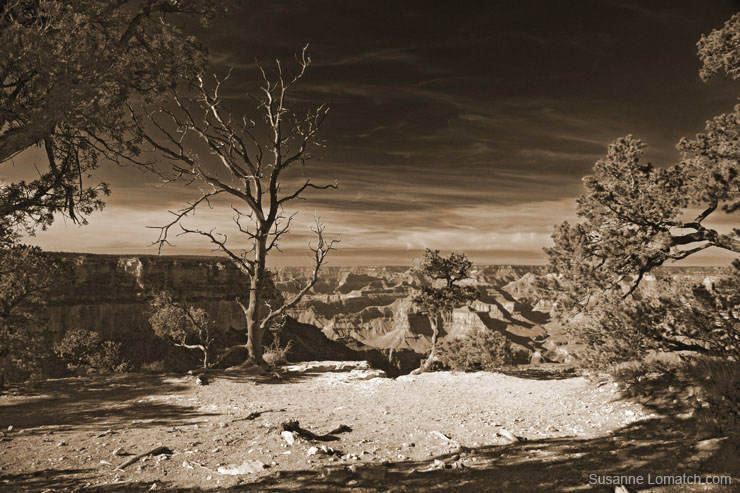 "Naked Vista Landscape"