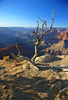 CedarRidgeAftPort-5618