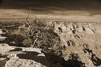 CurvatureVib-5504-Duo2