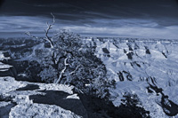 CurvatureVib-5504-Duo3