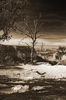 NakedVistaVib-5484-Duo2