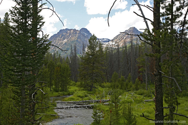 "Sawtooth Clearing #3"