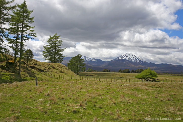 "Ngauruhoe From the Frisbee Golf Course"