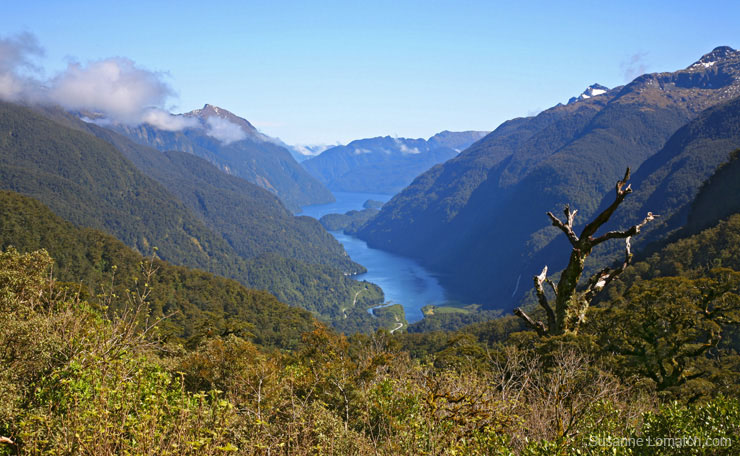 "High Above Doubtful"