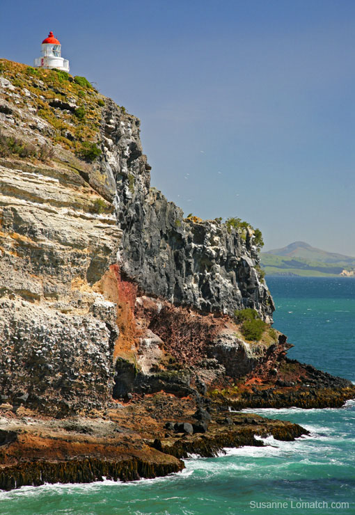 "Taiaroa Head Lighthouse"