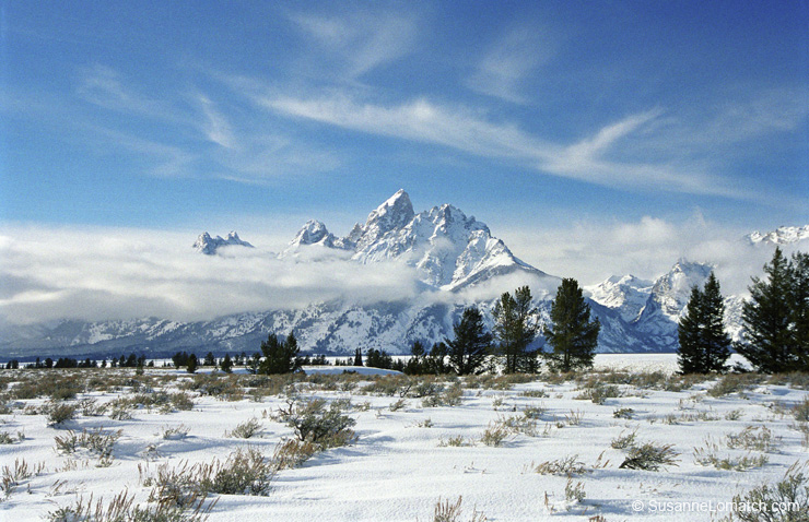 "Teton Winter"