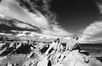 Dragon'sTeeth-PS2DG20-72dpi