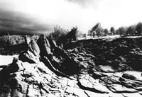 Infrared-Teeth-DG30-72dpi