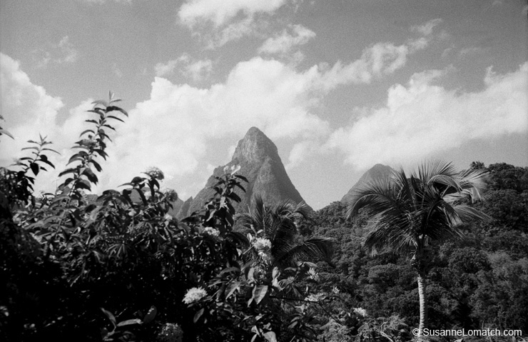 "Piton Lush"