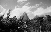 PitonLush-F10-DG301.3-72dpi