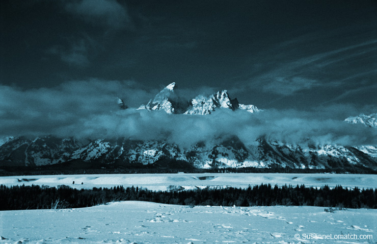 "Teal Teton"